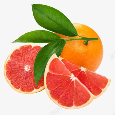 视觉西橙水果食材蔬菜水果画板精细划分标明分图标图标