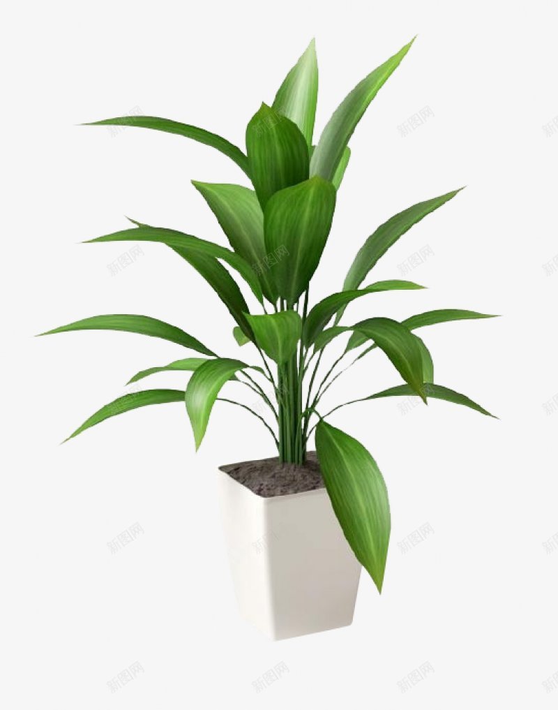 绿植盆栽家居盆栽植物png免抠素材_88icon https://88icon.com 家居 植物 盆栽 绿植盆栽免扣