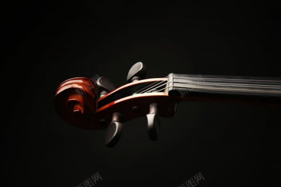 小提琴杂背景