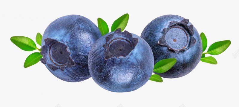 欢迎蓝莓水果食材蔬菜水果画板精细划分标图标图标