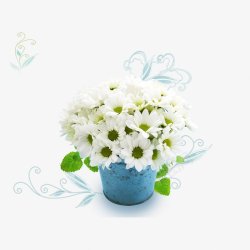 花瓶白色小花图素材
