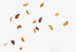 落叶纷飞秋天枫叶树叶飘落黄叶子前景影楼摄影后期素材