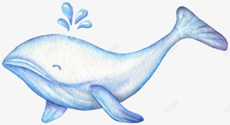 创意治愈系鲸鱼叫我小苏动物png免抠素材_88icon https://88icon.com 动物