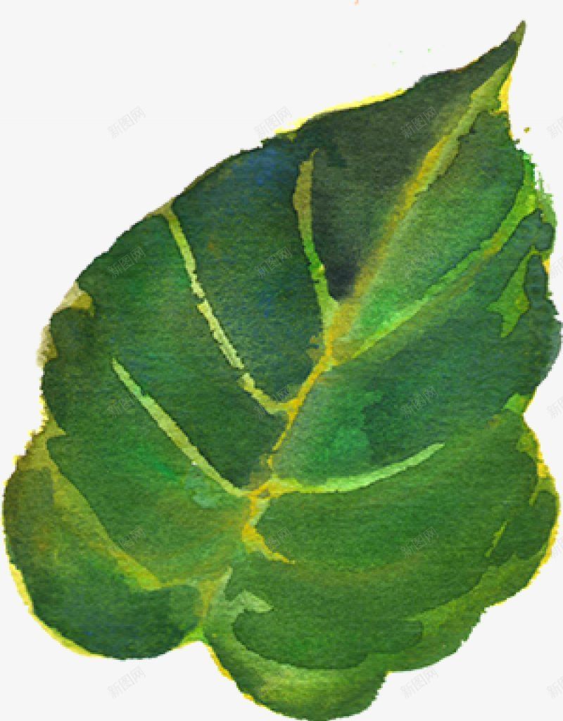 水彩芙蓉花卉艺术手绘彩绘水彩插画png免抠素材_88icon https://88icon.com 免扣手绘彩绘水彩插画 水彩芙蓉花卉艺术免扣