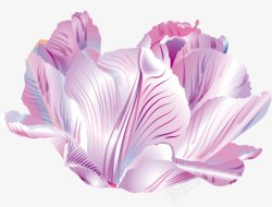 的花朵鲜花梦幻透明3植物鲜花透明图案鲜花素材