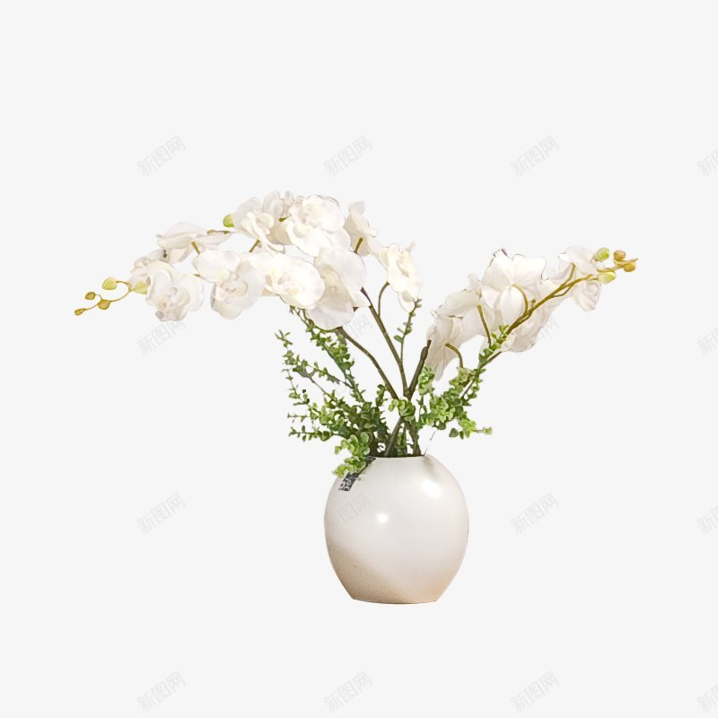 透明陶瓷花瓶花卉png免抠素材_88icon https://88icon.com 免扣 花卉 透明 陶瓷花瓶