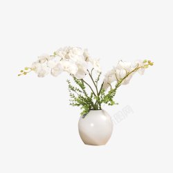 透明陶瓷花瓶花卉素材
