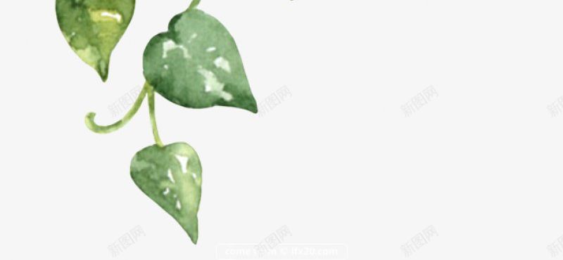 植物10png免抠素材_88icon https://88icon.com 免扣 免扣植物