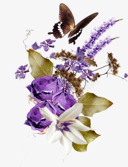 一束紫色鲜花花蝴蝶装饰图素材