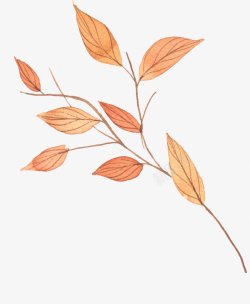 秋天橙色树叶字母花纹框平面DIY无缝贴图平铺库素材