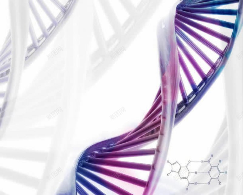 紫色螺旋基因海报jpg设计背景_88icon https://88icon.com 紫色螺旋基因海报