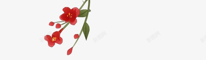 的树叶叶子嫩叶植物鲜花花卉绿叶小清新夏日png免抠素材_88icon https://88icon.com 3植物鲜花 叶子 夏日装饰 嫩叶 小清新 植物鲜花 绿叶 花卉 透明图案