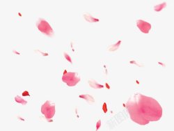 手绘漂浮的粉色花瓣插画图素材