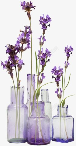 手绘花盆里的紫色鲜花装饰图素材