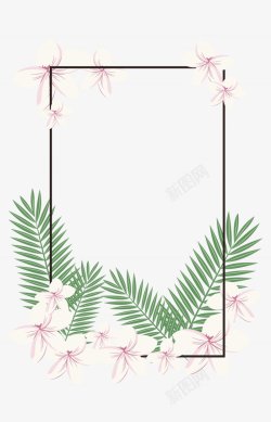 热带植物鲜花边框装饰彩铅鲜花花卉花朵相框花环花圈的6高清图片