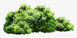 绿色环保树木1素材