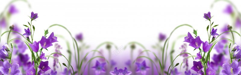 紫色梦幻海报一花一草一世界背景