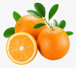 橙子水果爱在朱颜未改时素材