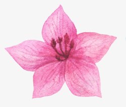 淡粉花朵手绘粉色牡丹花朵元素高清图片