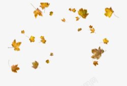 落叶纷飞秋天枫叶树叶飘落黄叶子前景影楼摄影后期素材