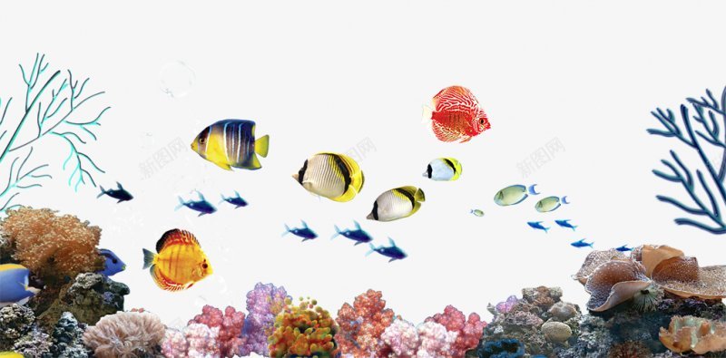 海底世界珊瑚海藻PNS透明底png免抠素材_88icon https://88icon.com PNS透明底 海底世界 珊瑚海藻