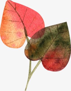 水彩秋季树叶图手绘彩绘水彩插画素材