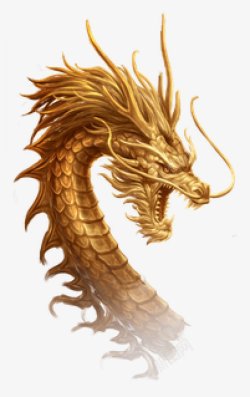 金龙中国龙飞龙龙腾龙纹中国风查看来源浏览大图509素材