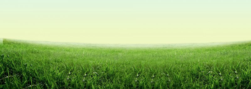 绿色的草地小清新绿色系树叶jpg设计背景_88icon https://88icon.com 素材 绿色的草地小清新 绿色系树叶