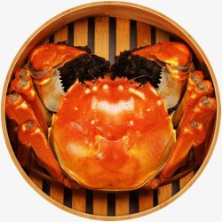 大闸蟹螃蟹中秋节食物PNS透明底素材