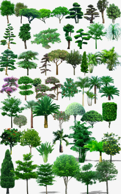 创意园林植物摄影素材