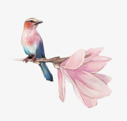 粉色小鸟手绘白玉兰花鸟高清图片