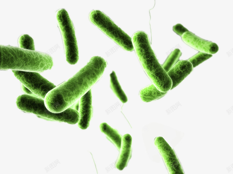 绿色虫形微生物png免抠素材_88icon https://88icon.com 实验 微生物 显微镜 生物科研 研究 科技 绿色 虫形