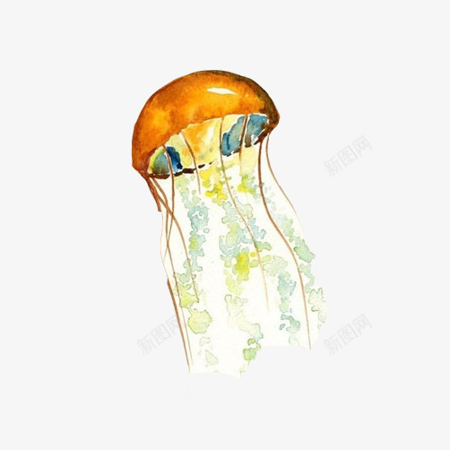 水母水彩画片png免抠素材_88icon https://88icon.com 彩画 橘黄色 水彩 水母 海底生物