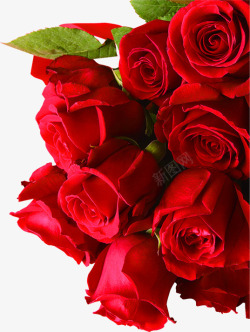 红色玫瑰花束七夕情人节素材