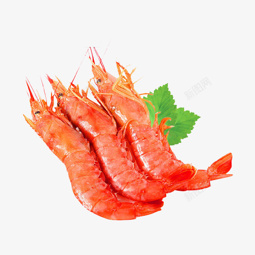进口红虾png免抠素材_88icon https://88icon.com 口味虾 海鲜 美食 虾
