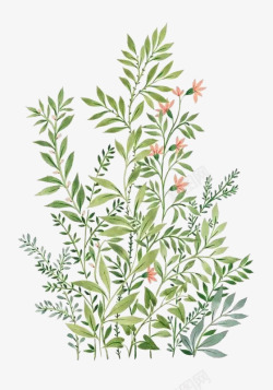 绿叶手绘手绘绿叶花卉植物高清图片