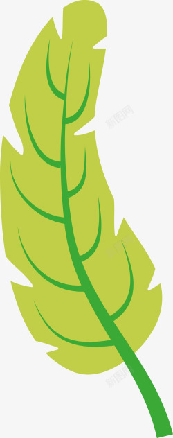卡通手绘绿色棕榈叶素材