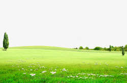 户外旅游绿色草地背景草原花丛大自高清图片