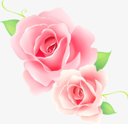 粉色玫瑰花朵背景图片粉色玫瑰花朵高清图片