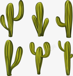 沙漠植物仙人掌矢量图素材