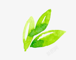 环保水彩小绿叶茶叶素材