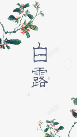 花边百年狂中国风二十四节气白露海报背景装高清图片