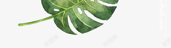 清新绿色叶子植物png免抠素材_88icon https://88icon.com 叶子 手绘 植物 清新 绿叶 绿色 绿色植物 芭蕉 蕨类 蕨类植物