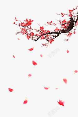 花瓣新年素材梅花飘落高清图片