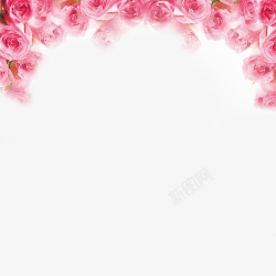 抽象的花朵情人节花卉高清图片