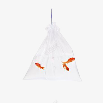 盛鱼的透明塑料袋png免抠素材_88icon https://88icon.com 塑胶袋 水 白色 透明塑料袋 鱼