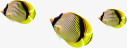 创意摄影海底世界的小丑鱼素材