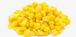 一堆玉米粒素材