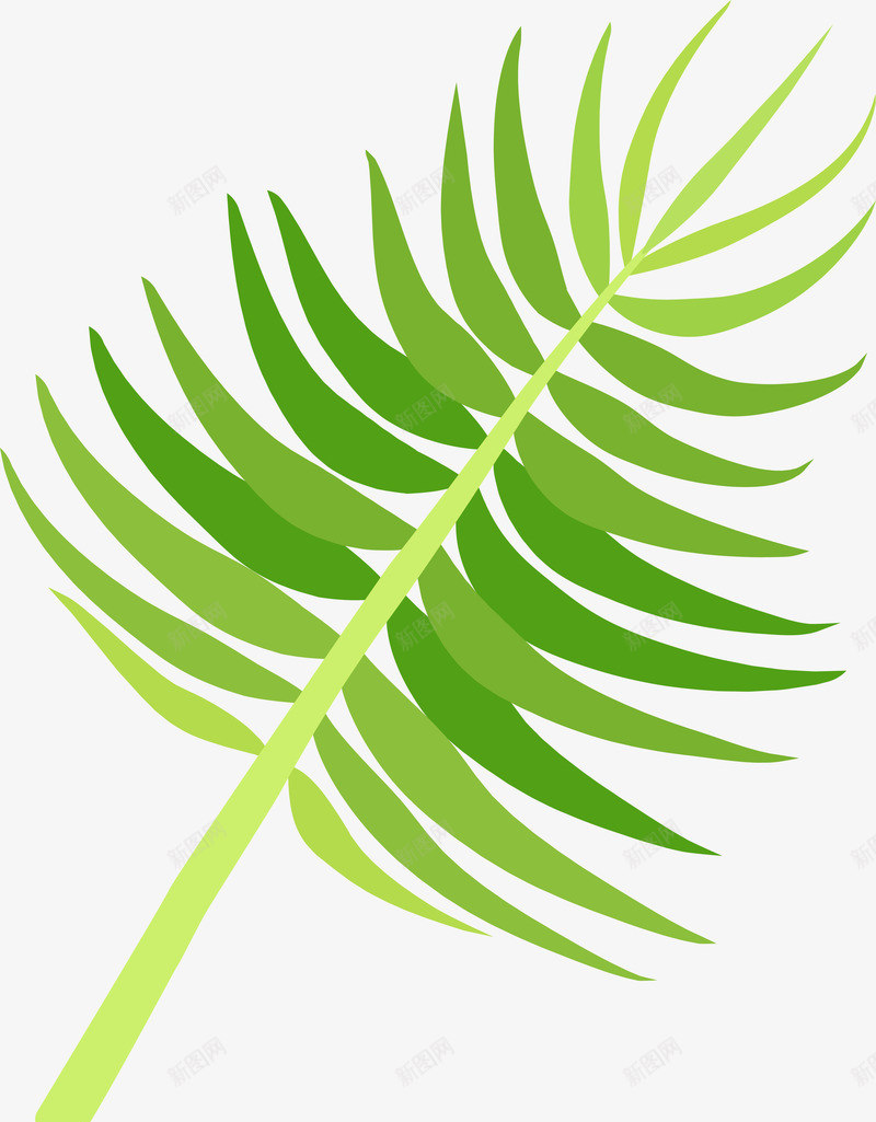 热带植物棕榈叶叶子图png免抠素材_88icon https://88icon.com 夏天 异国情调 手绘 树叶 树木 棕榈叶 棕榈叶子 棕榈树 植物 热带 热带棕榈芭蕉叶 热带植物 环境 绘画 自然