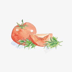 手绘水彩西红柿和迷迭香插画素材